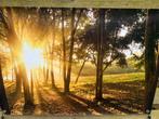 Tuinposter bos/ zon xl €20,-, Tuin en Terras, Ophalen