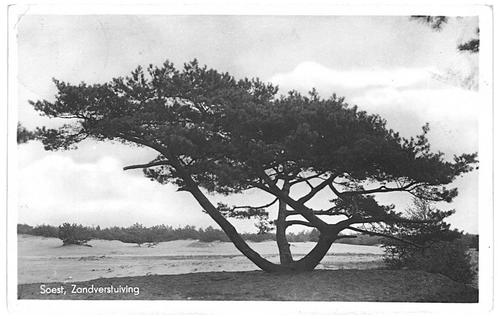 962101	Soest	Zandverstuiving	jr 40 45	Gelopen met postzegel, Verzamelen, Ansichtkaarten | Nederland, Gelopen, Utrecht, 1920 tot 1940