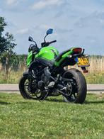 Kawasaki ER-6n, Particulier, Naked bike