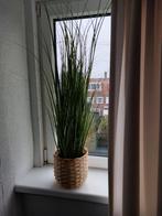 zgan kunstplant gras 90 cm hoog incl. rieten mand, Ophalen, Zo goed als nieuw