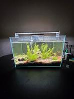 100 liter aquarium, Ophalen
