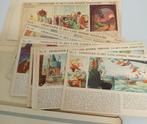 Ben van 't Klooster -Toonder Studio's.-Strip-52 blz., Eén stripboek, Ophalen, Gelezen