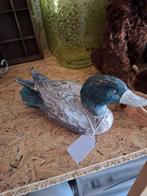 Oude houten lok eend, Meerdere dieren, Tropenvogel