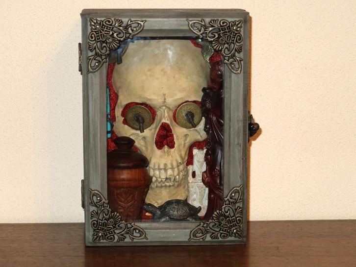 rariteitenkabinet; schedel (gips) in Oosterse memorial-box, Verzamelen, Overige Verzamelen, Nieuw, Ophalen of Verzenden