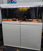 Aquatlantis volga 180 + eheim prof. 4 plus + verwarming, Ophalen, Gebruikt, Leeg aquarium