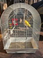 Parkietje met kooi, Dieren en Toebehoren, Vogels | Hokken en Kooien, Ophalen, Zo goed als nieuw, Hout, Vogelkooi