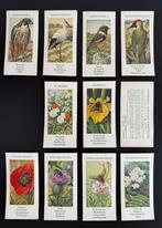Verkade Kwartet spel compleet 1935, Boeken, Prentenboeken en Plaatjesalbums, Ophalen of Verzenden