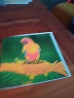 Kaart papegaai, Ophalen of Verzenden, Nieuw