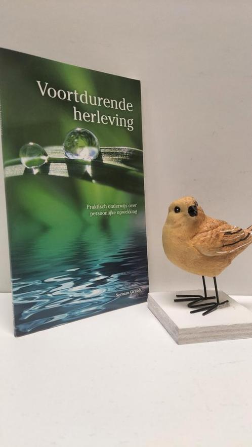 Grubb, Norman; Voortdurende herleving, Boeken, Godsdienst en Theologie, Gelezen, Christendom | Protestants, Ophalen of Verzenden