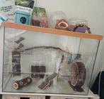 Hamster terrarium / verblijf glas met veel accessoires, Dieren en Toebehoren, Knaagdieren en Konijnen | Hokken en Kooien, Minder dan 75 cm
