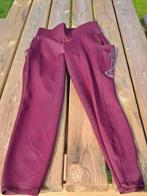 Cavallo rijlegging bordeaux maat 38/ 40., Dieren en Toebehoren, Paardrijkleding, Ophalen, Zo goed als nieuw, Dressuur, Onderkleding