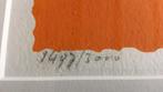 Kunst, Antiek en Kunst, Kunst | Litho's en Zeefdrukken, Ophalen of Verzenden