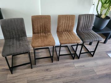 4x Pareda Barkruk Rhino beschikbaar voor biedingen