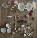 Verzameling schelpen zeester etc echt - glas- plastic, Schelp(en), Ophalen of Verzenden