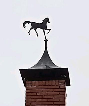 Schoorsteenkap beschikbaar voor biedingen