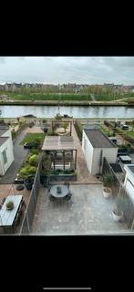 Gratis Geoplano terrastegels, Ophalen, Gebruikt, 10 m² of meer, Beton