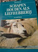 J.H. Lantinga - Schapen houden als liefhebberij, Ophalen of Verzenden, Zo goed als nieuw, Paarden of Pony's, J.H. Lantinga