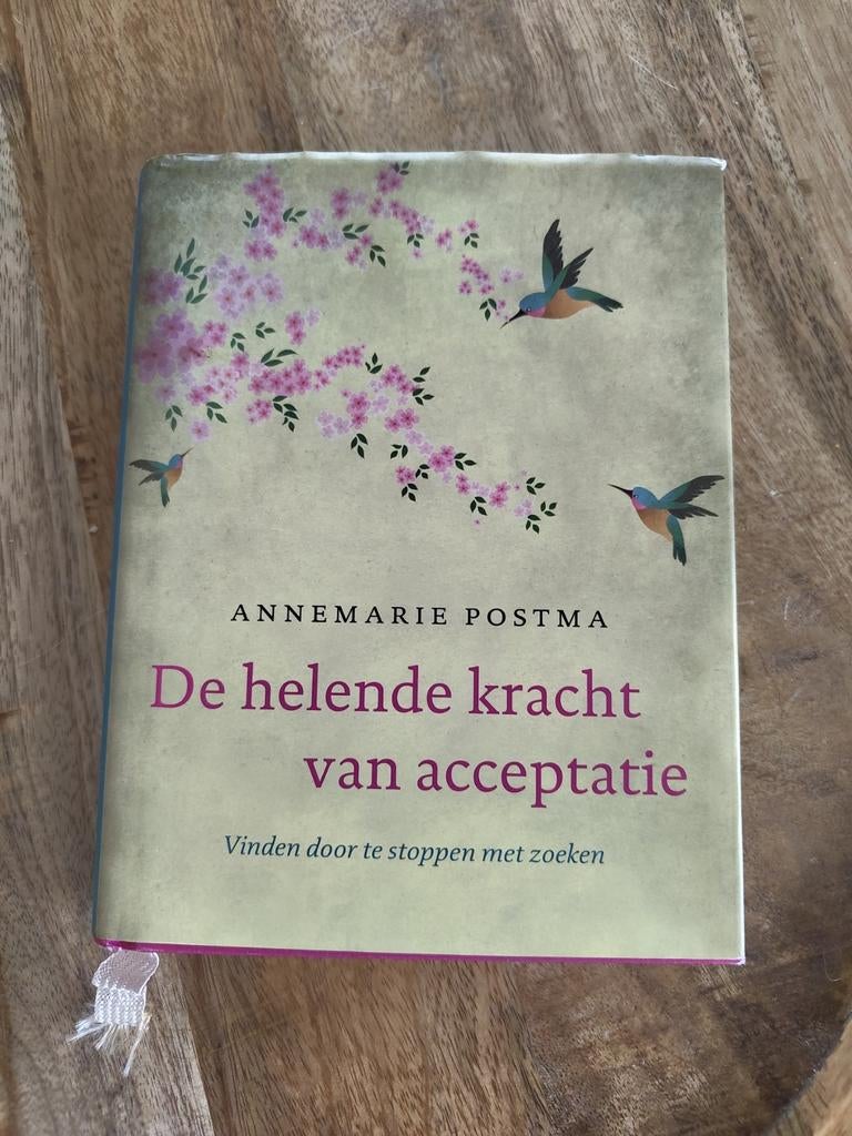 Annemarie Postma - De helende kracht van acceptatie, Spiritualiteit algemeen, Ophalen of Verzenden, Zo goed als nieuw, Achtergrond en Informatie