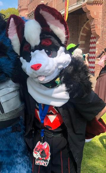 MQ/LQ Fursuit cat beschikbaar voor biedingen