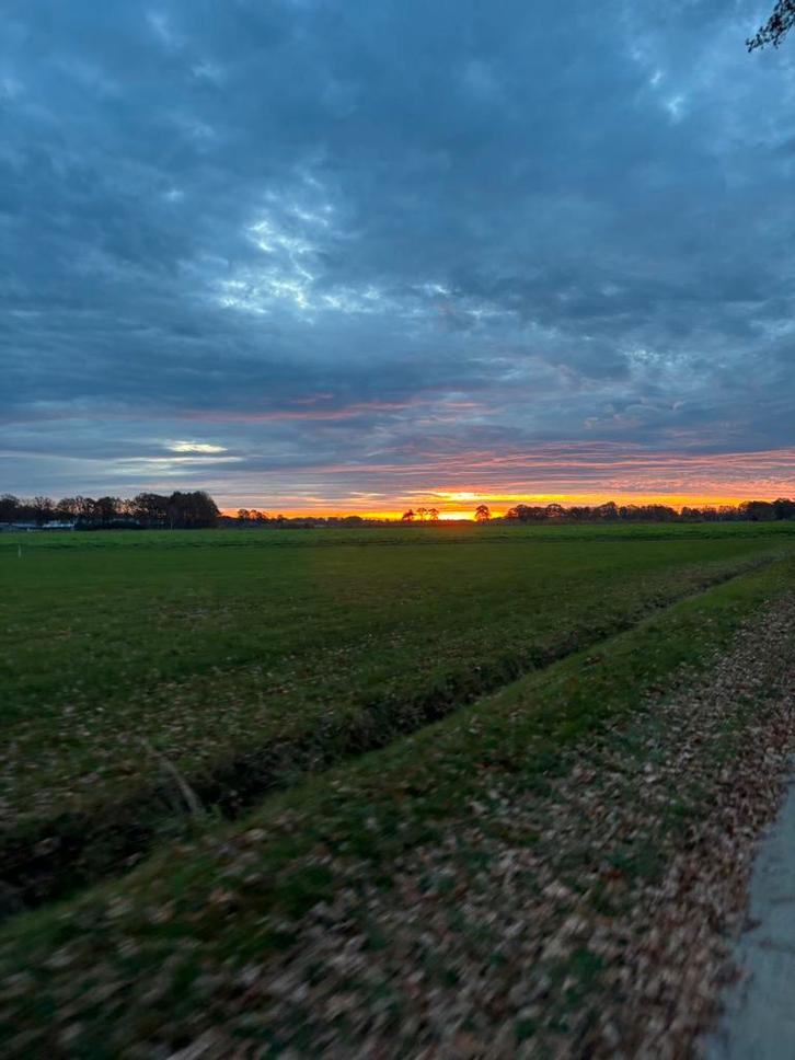 Verzorgpony gezocht, Dieren en Toebehoren, Paarden en Pony's | Verzorgingsproducten, Nieuw, Ophalen