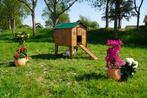 Trespa Kippenhok / Duplex L - Cucciolotta, Dieren en Toebehoren, Pluimvee | Toebehoren, Ophalen of Verzenden, Nieuw, Kippenhok of Kippenren