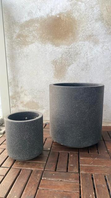 Grey concrete pair of plant vase beschikbaar voor biedingen