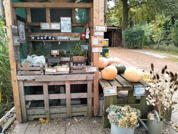 Onze kraam met eieren, walnoten, kastanje,pompoenen, kaarsen beschikbaar voor biedingen