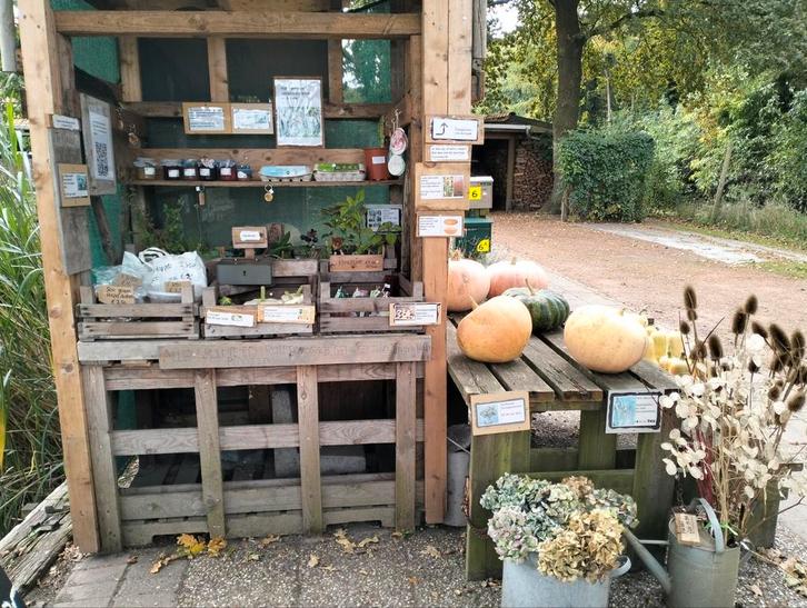 Onze kraam met eieren, walnoten, kastanje,pompoenen, kaarsen, Tuin en Terras, Overige Tuin en Terras, Zo goed als nieuw, Ophalen of Verzenden
