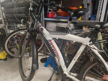 batavus snake 26 inch beschikbaar voor biedingen