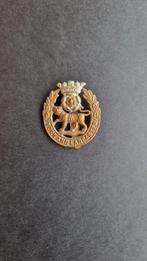 York and Lancaster, Ophalen of Verzenden, Landmacht, Nederland, Embleem of Badge
