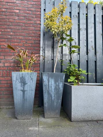 Bloempot bak tuin beschikbaar voor biedingen