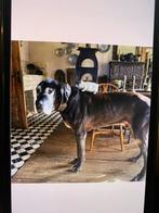 Eurostar tickets via Francesco Boonstra, Tickets en Kaartjes, Trein, Bus en Vliegtuig, Drie personen of meer, Trein, Buitenland