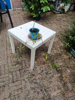 Passieflora, Ophalen, Zomer, Volle zon