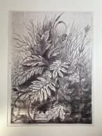 Ixxi 120x160cm Rijksmuseum ‘Arnoud Schaepkens - Planten’, Ophalen, Zo goed als nieuw