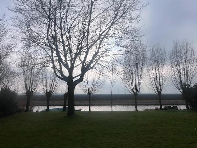 Wilgentakken 2–5 m – complete partij 60–70 stuks., Tuin en Terras, Schuttingen, Nieuw, Hout, 2 meter of meer, 3 tot 6 meter, Ophalen