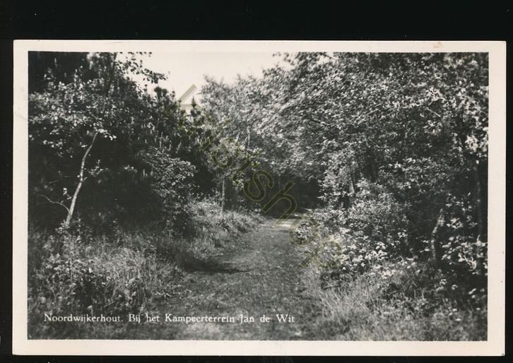 Noordwijkerhout - Bij het Kampeerterrein Jan de Wit, Verzamelen, Ansichtkaarten | Nederland, Gelopen, Zuid-Holland, 1940 tot 1960