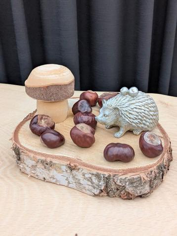 Leuke herfst set decoratie/woonaccessoires! Egel paddenstoel beschikbaar voor biedingen