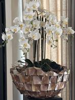 Schelpenvaas bowl incl. inzet zijde bloemen, Overige materialen, Overige kleuren, 50 tot 75 cm, Ophalen of Verzenden