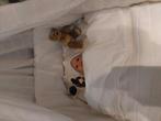 Moie baby born pop met wieg, Verzamelen, Poppen, Ophalen, Zo goed als nieuw, Pop