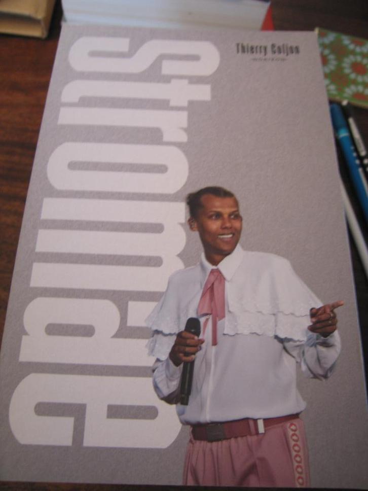 STROMAE Thierry Coljon, Boeken, Biografieën, Zo goed als nieuw, Kunst en Cultuur, Ophalen of Verzenden