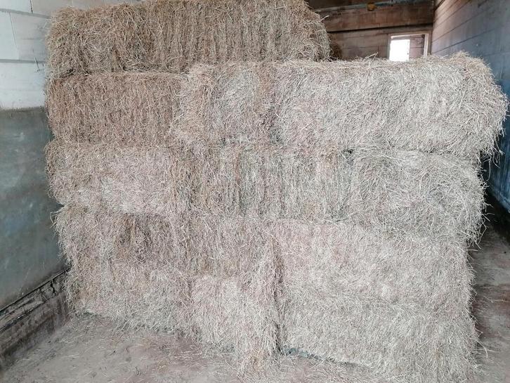 Hooibaaltjes klein, Dieren en Toebehoren, Dierenvoeding, Vee, Ophalen