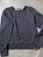 Cavallo sweater mt. 42, Ophalen of Verzenden, Zo goed als nieuw, Dames, Recreatie
