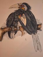 Neushoornvogels op tak Bernard Sluyterman, Antiek en Kunst, Kunst | Schilderijen | Modern, Ophalen of Verzenden