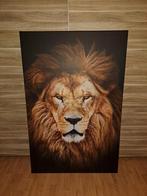 Buiten canvas leeuw, Ophalen, Zo goed als nieuw, Schilderij, 75 tot 100 cm