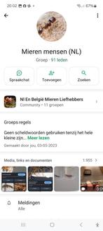 WhatsApp groep voor mieren houders, Mieren