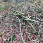 Openhaardhout  25 euro per m3, Doe-het-zelf en Verbouw, Hout en Planken, Minder dan 25 mm, Ophalen of Verzenden, Pallet, Minder dan 200 cm