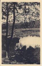 Oisterwijk Witven - Oude ongelopen ansichtkaart B1034, Ophalen of Verzenden, 1960 tot 1980, Ongelopen, Noord-Brabant