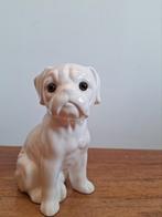 Wit keramieken beeldje Boxer hond, Verzamelen, Beelden en Beeldjes, Ophalen of Verzenden, Zo goed als nieuw, Dier