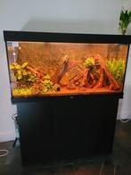 Zeer net onderhoude aquarium 120cm, Ophalen, Zo goed als nieuw, Gevuld zoetwateraquarium