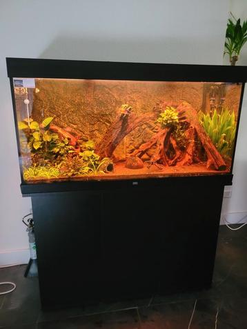 Zeer net onderhoude aquarium 120cm beschikbaar voor biedingen